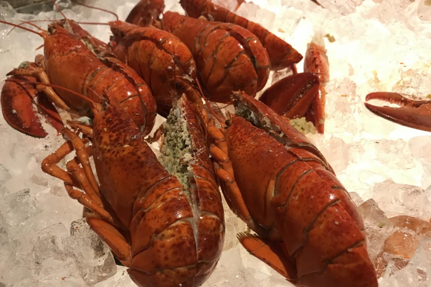 沙田凱悅酒店