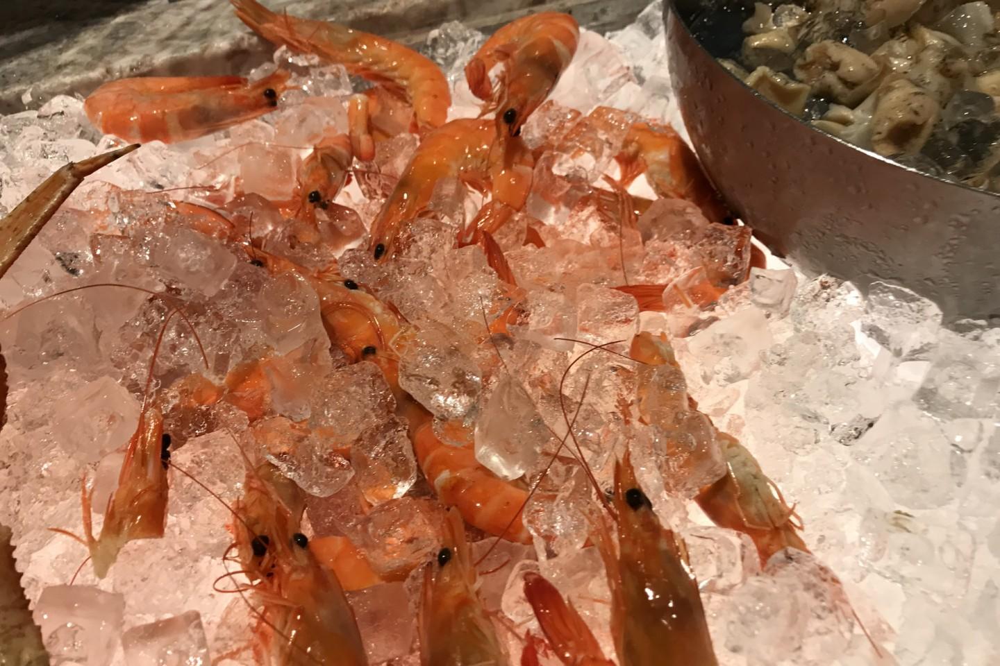 沙田凱悅酒店