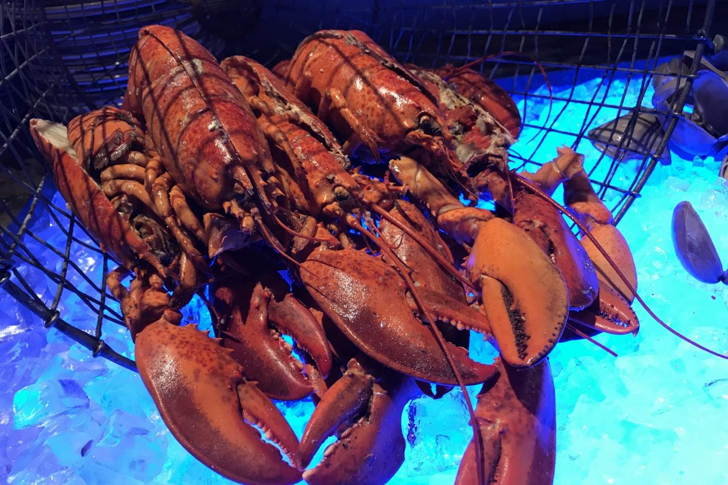 海匯酒店自助餐