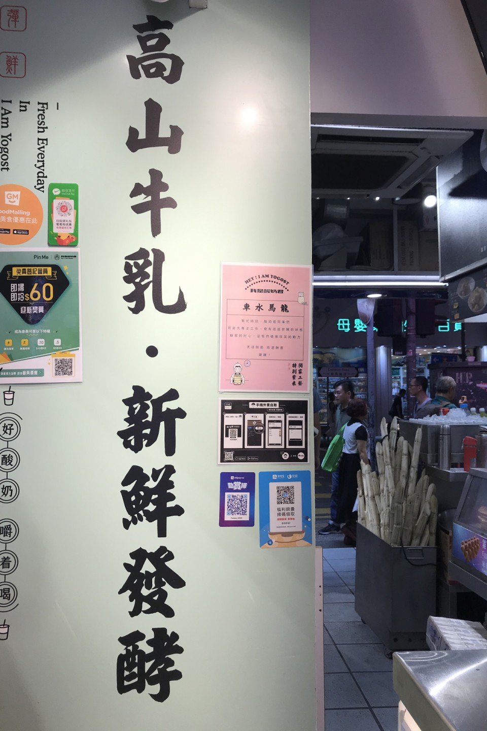 酸奶君 香港