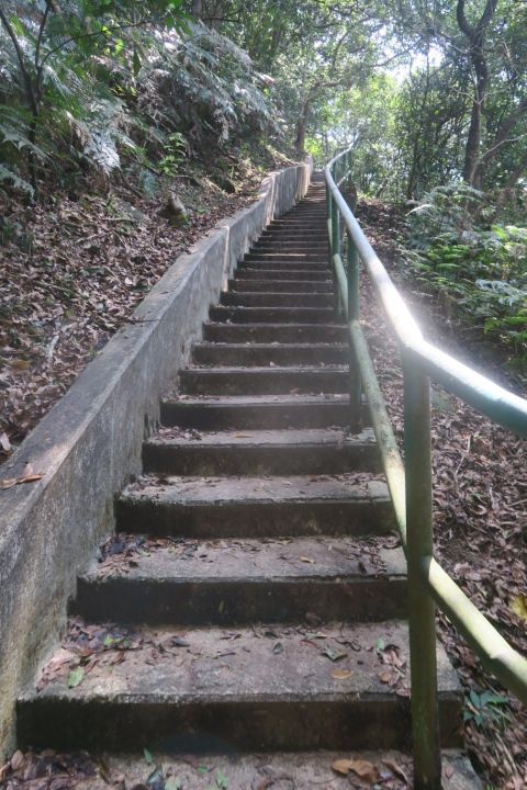 白水碗