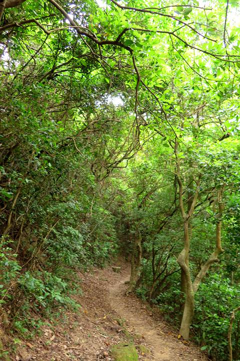 畢架山行山