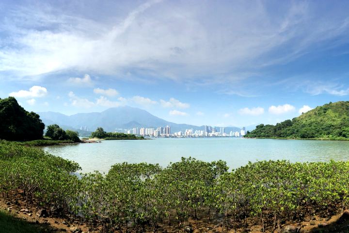  鳳坑谷埔