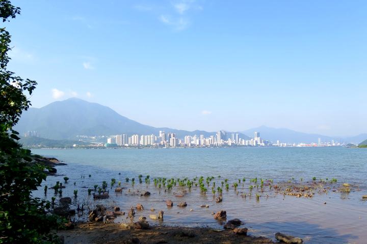  鳳坑谷埔