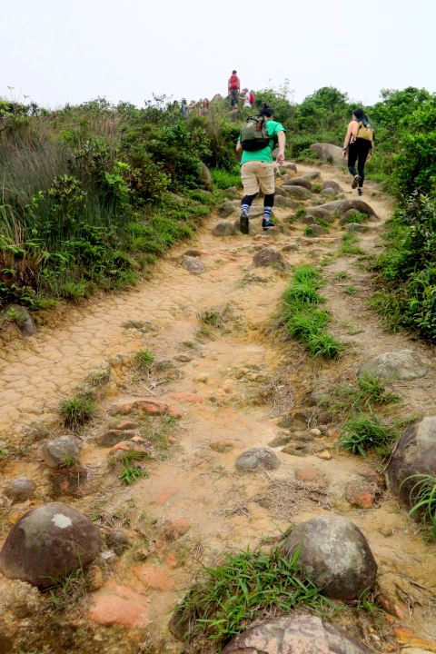 龍蝦灣大嶺峒