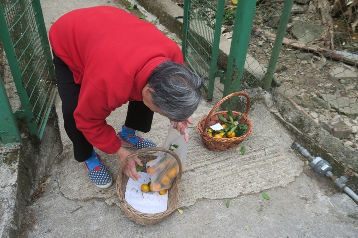 上窰古迹村