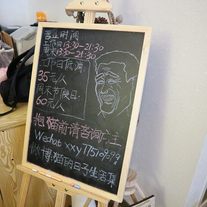 貓的日子 深圳