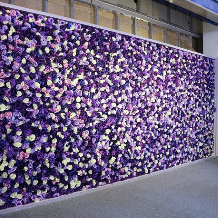 色廊展 深圳 ．Color Gallery Shenzhen