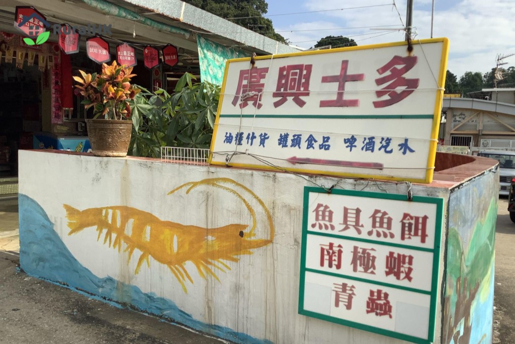 三門仔、馬屎洲一日遊．輕鬆遊漁村地質之旅